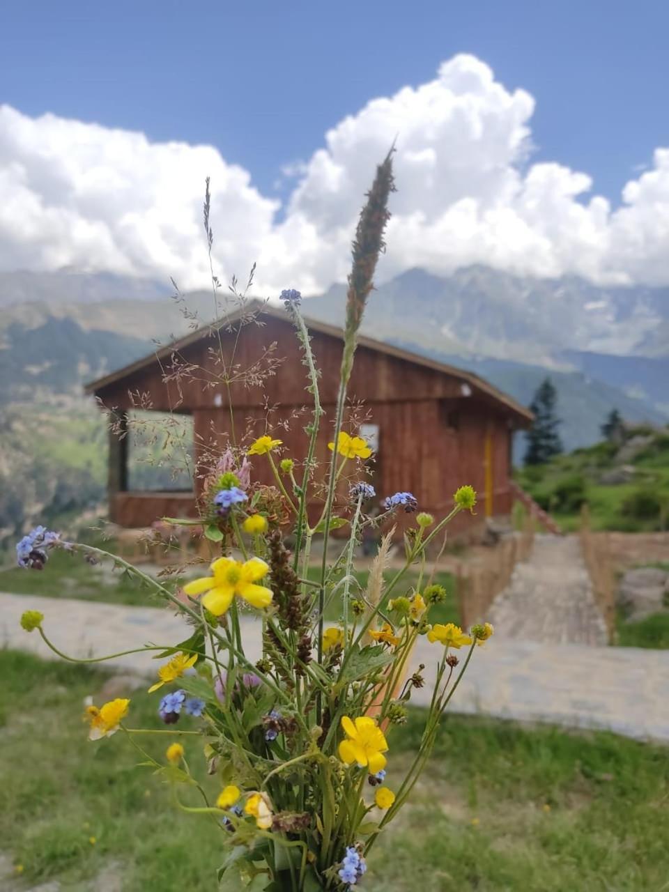 Khana Badosh Resort Kalam 外观 照片